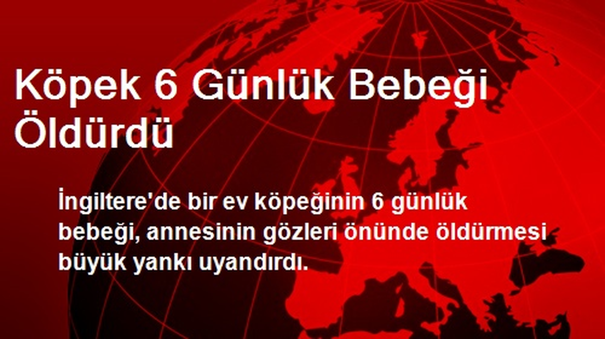Köpek 6 Günlük Bebeği Öldürdü