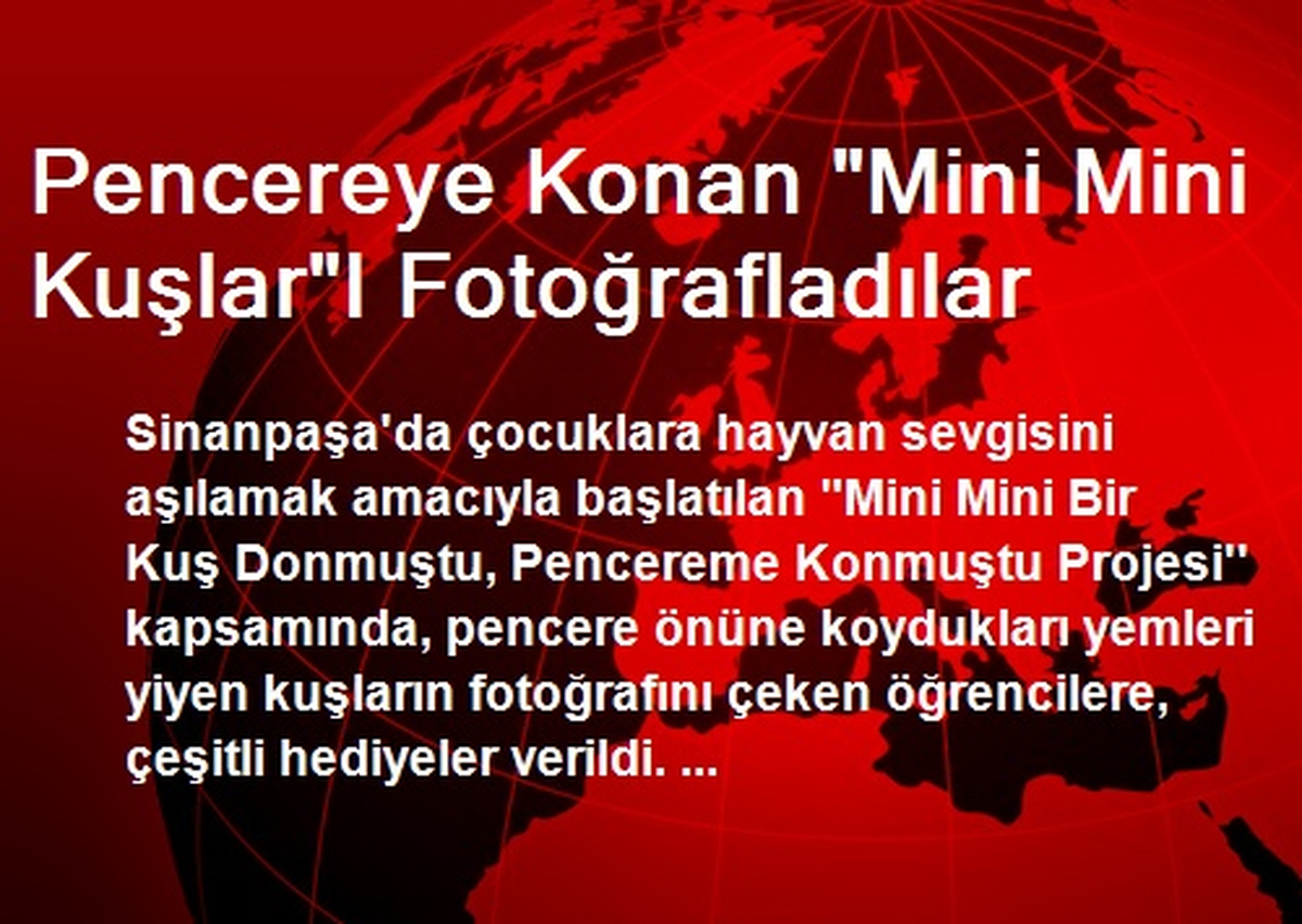 Pencereye Konan "Mini Mini Kuşlar"I Fotoğrafladılar