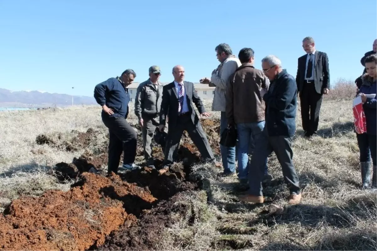 Seydişehir'de Üniversite Alanı Ağaçlandırılıyor