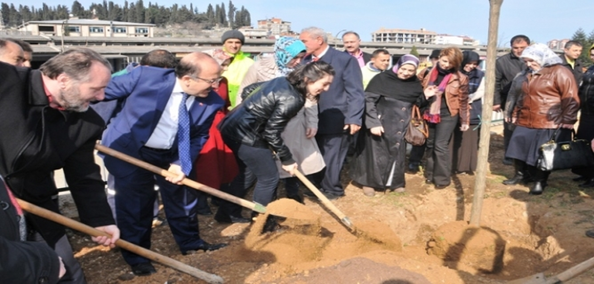 Trabzon\'da Ağaçlandırma Kampanyası