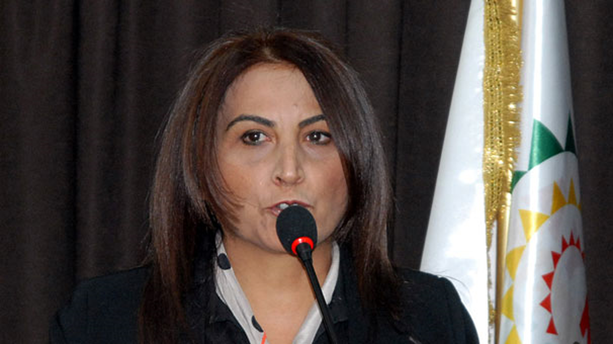 Van Bağımsız Milletvekili Aysel Tuğluk Açıklaması