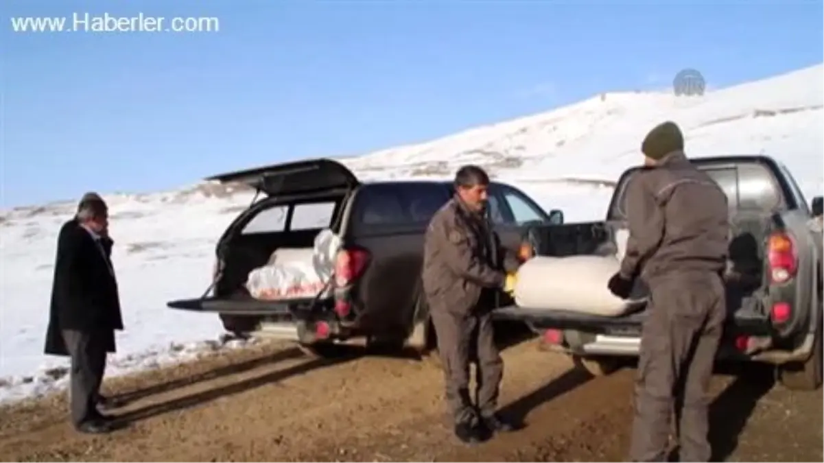 Yaban hayvanları için doğaya yem bıraktılar -