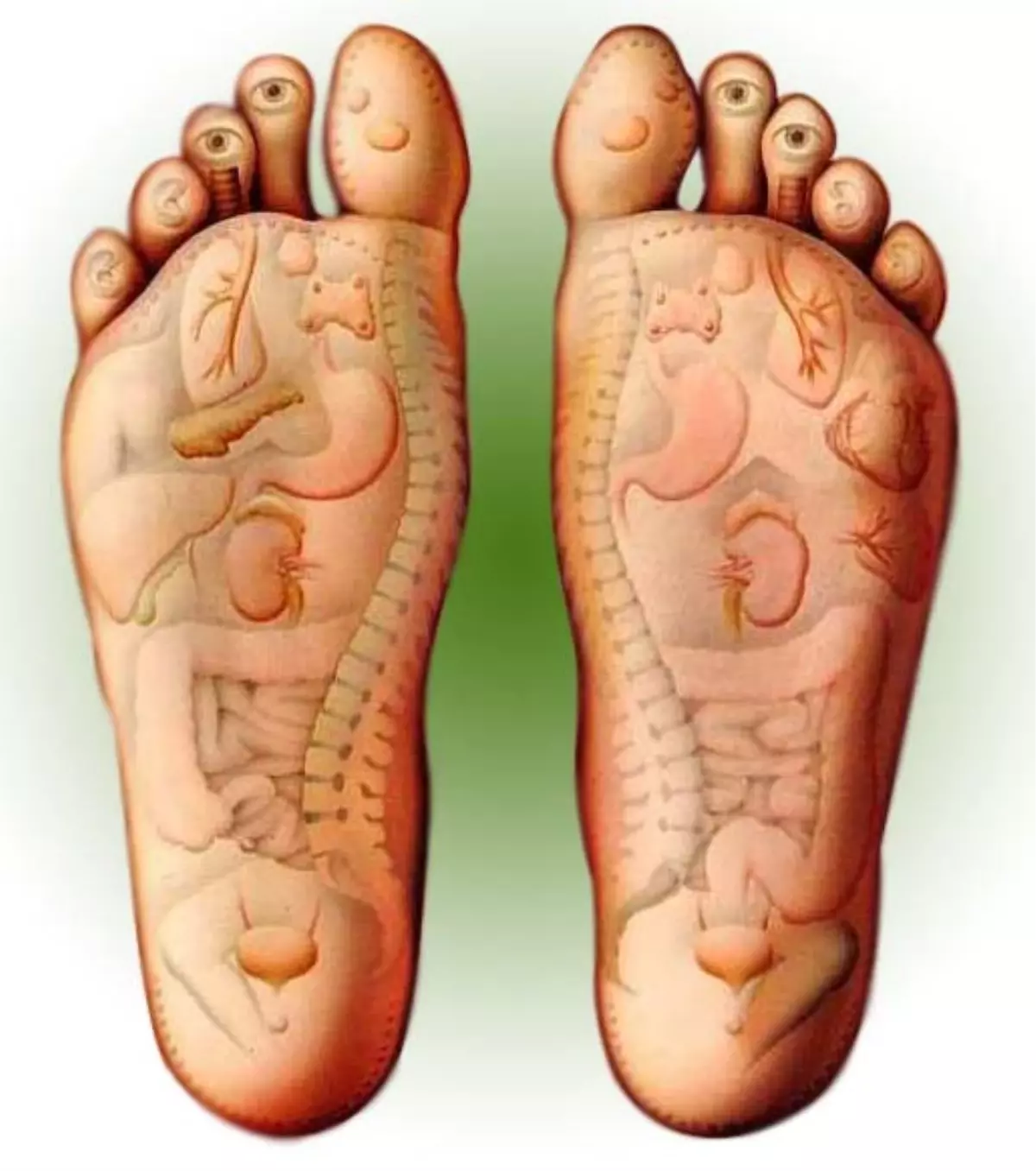 Avrasya Refleksoloji Merkezi Serebral Palsy\'li Çocuklara Işık Oluyor