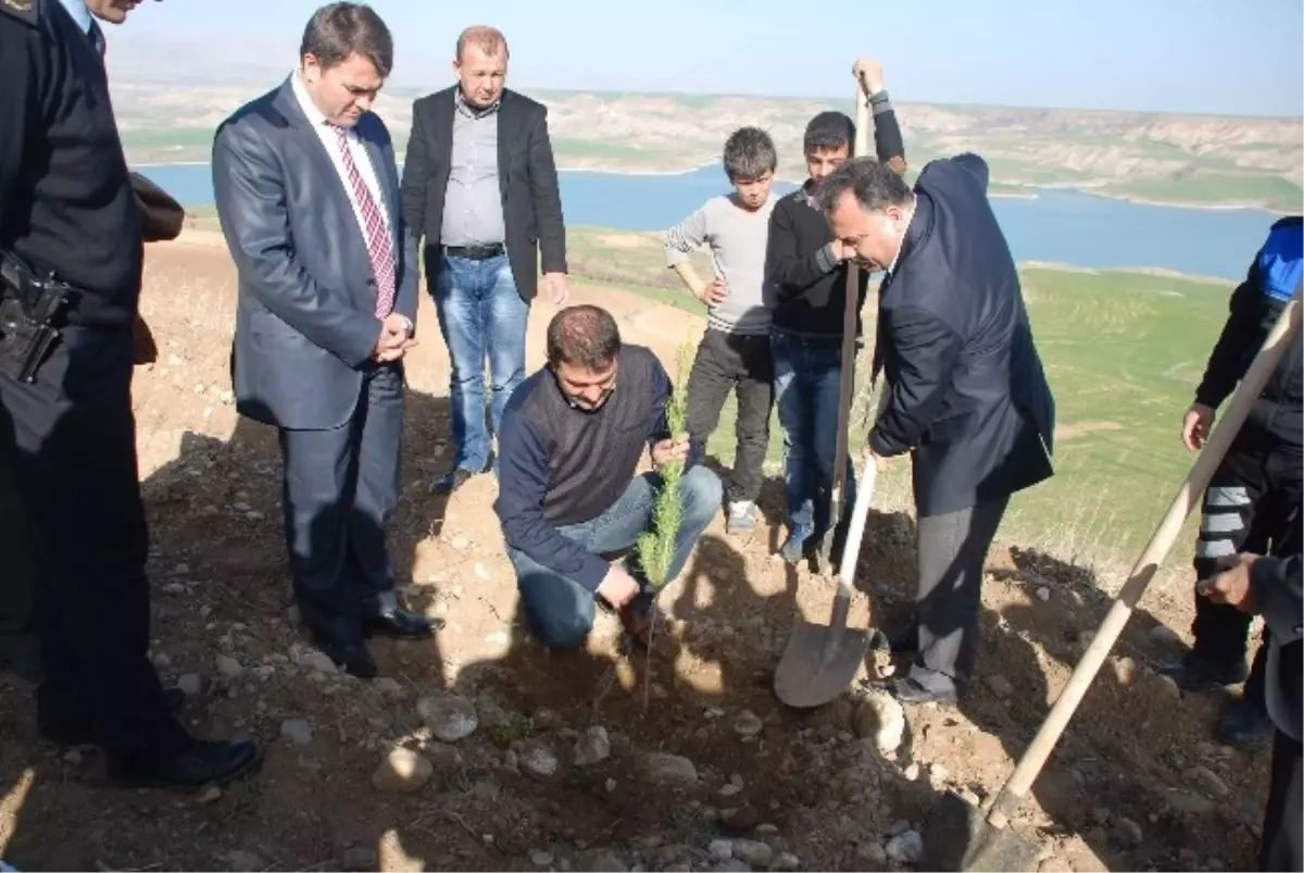 Kahta\'da Emniyet Güçleri Ağaç Dikti