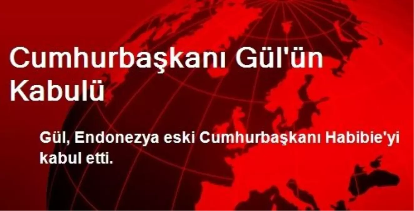 Cumhurbaşkanı Gül\'ün Kabulü