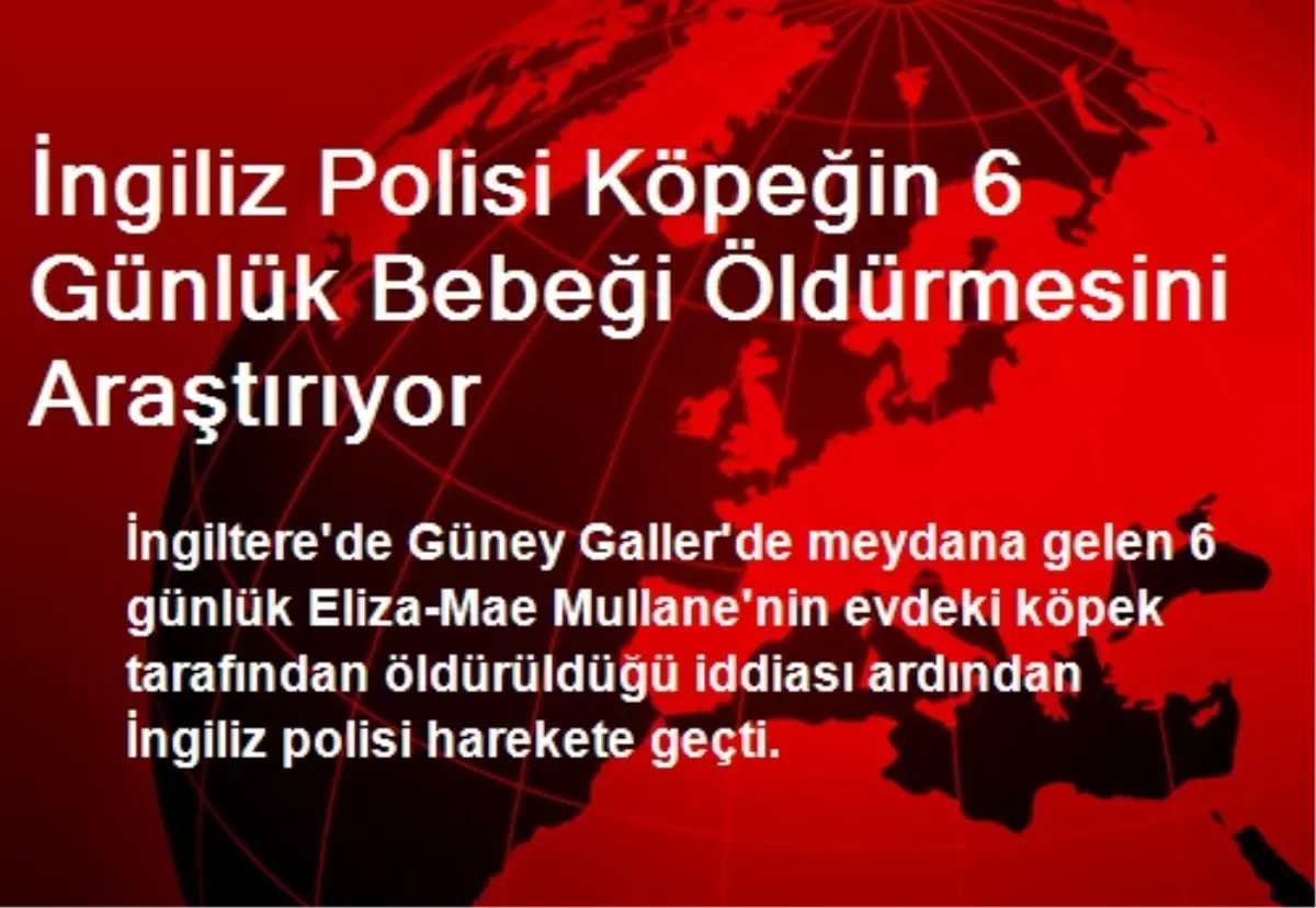 İngiliz Polisi Köpeğin 6 Günlük Bebeği Öldürmesini Araştırıyor