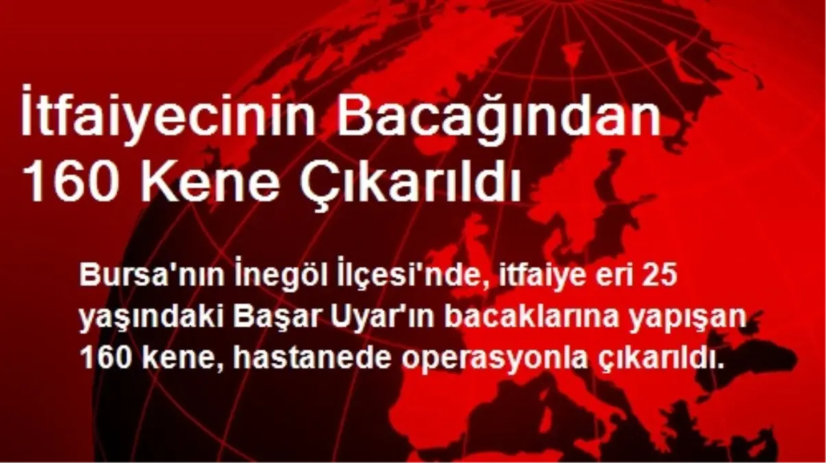 İtfaiyecinin Bacağından 160 Kene Çıkarıldı