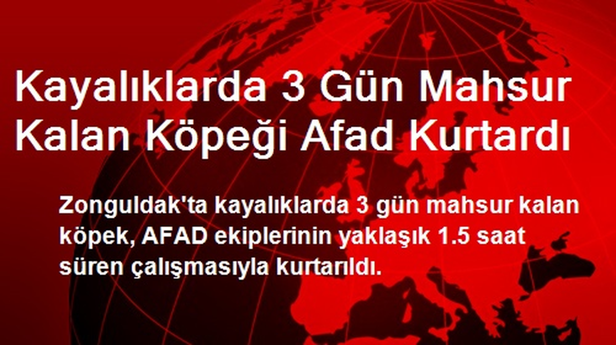 Kayalıklarda 3 Gün Mahsur Kalan Köpeği Afad Kurtardı