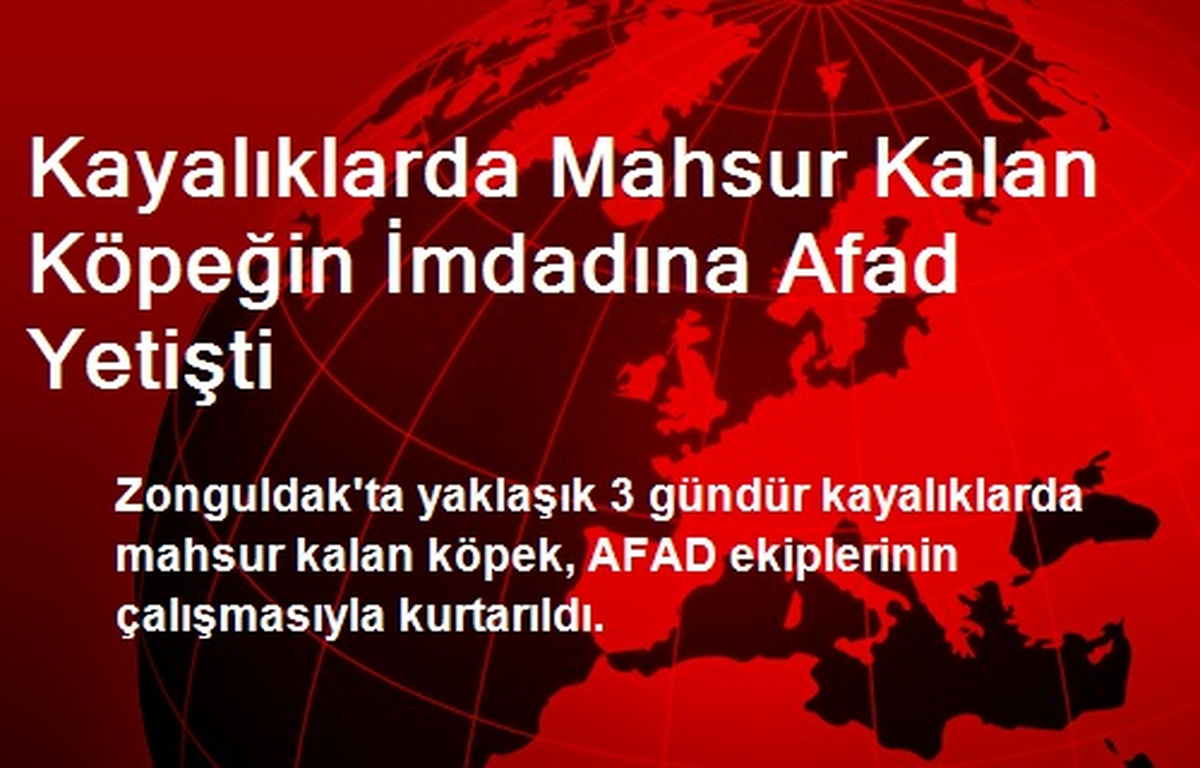 Kayalıklarda Mahsur Kalan Köpeğin İmdadına Afad Yetişti