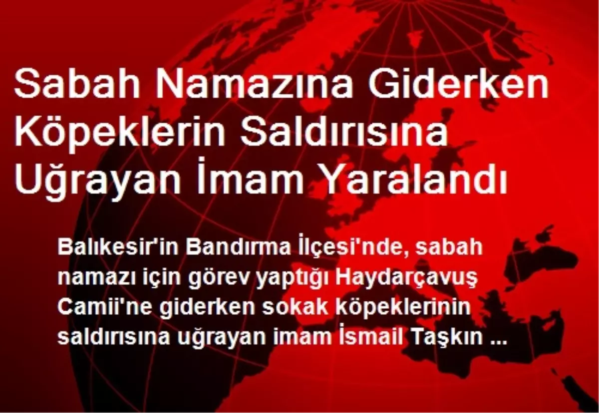 Sabah Namazına Giderken Köpeklerin Saldırısına Uğrayan İmam Yaralandı