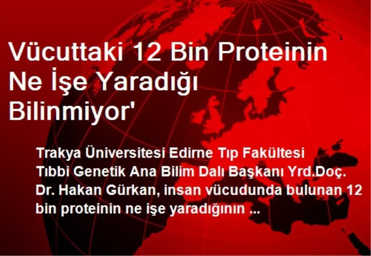 Vücuttaki 12 Bin Proteinin Ne İşe Yaradığı Bilinmiyor\'