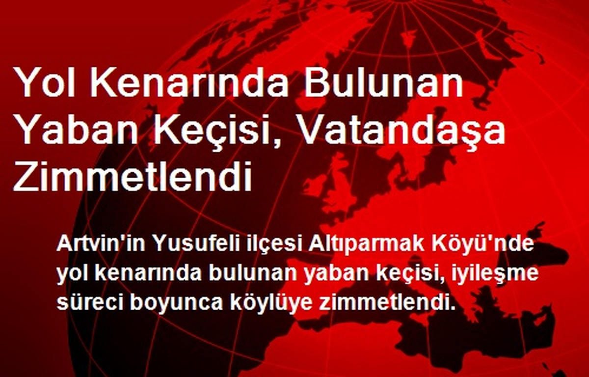 Yol Kenarında Bulunan Yaban Keçisi, Vatandaşa Zimmetlendi