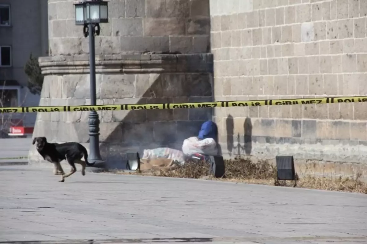 Polis Girilmez" Yasağını Sokak Köpeği Deldi