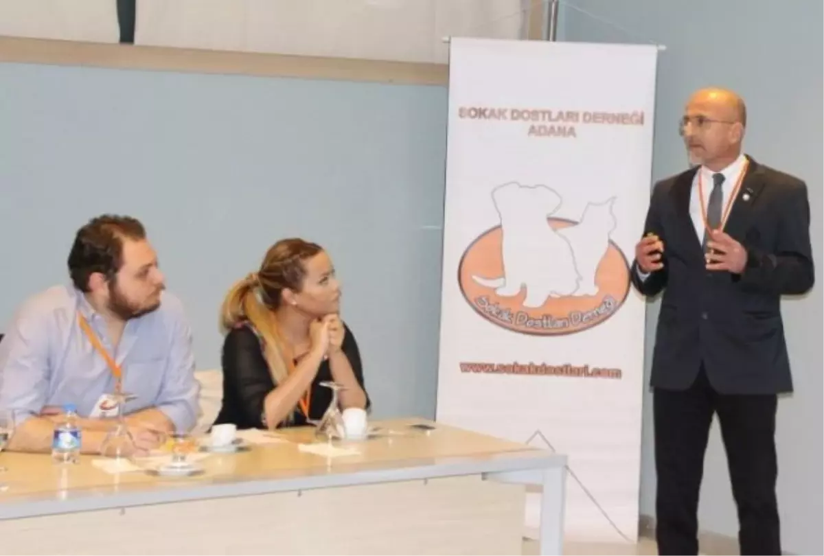 Sokak Dostları Derneği'ne Üye Akını