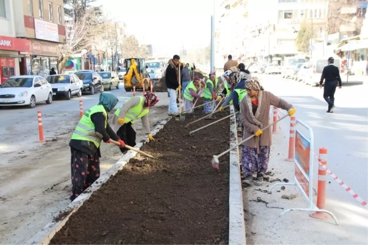 Orta Refüj Çalışmaları Hızla İlerliyor