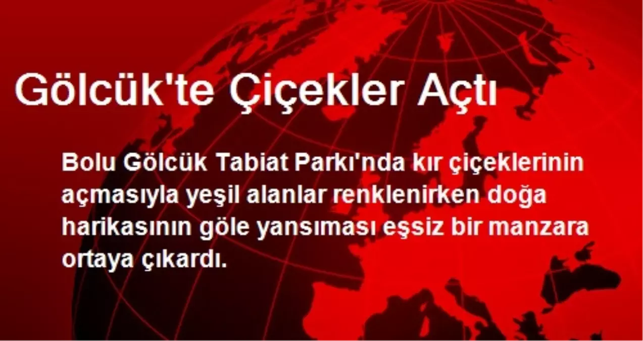 Gölcük\'te Çiçekler Açtı