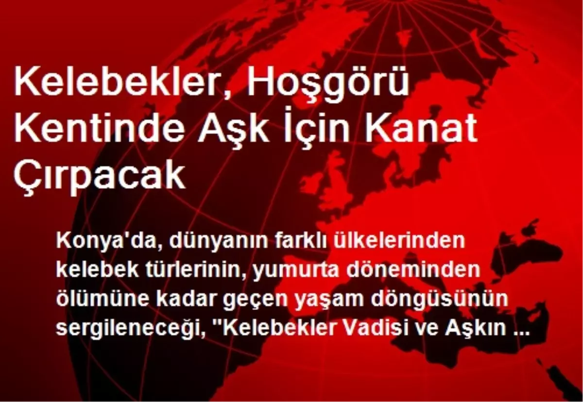 Kelebekler, Hoşgörü Kentinde Aşk İçin Kanat Çırpacak