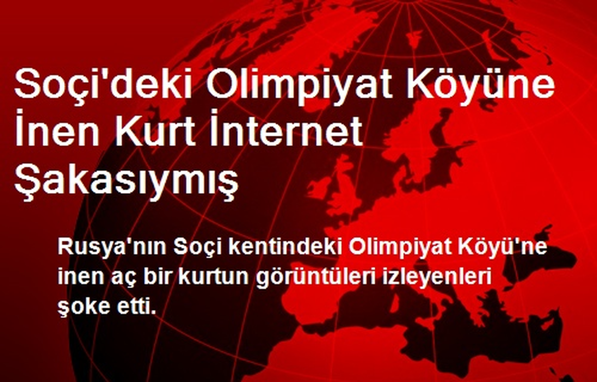 Soçi\'deki Olimpiyat Köyüne İnen Kurt İnternet Şakasıymış