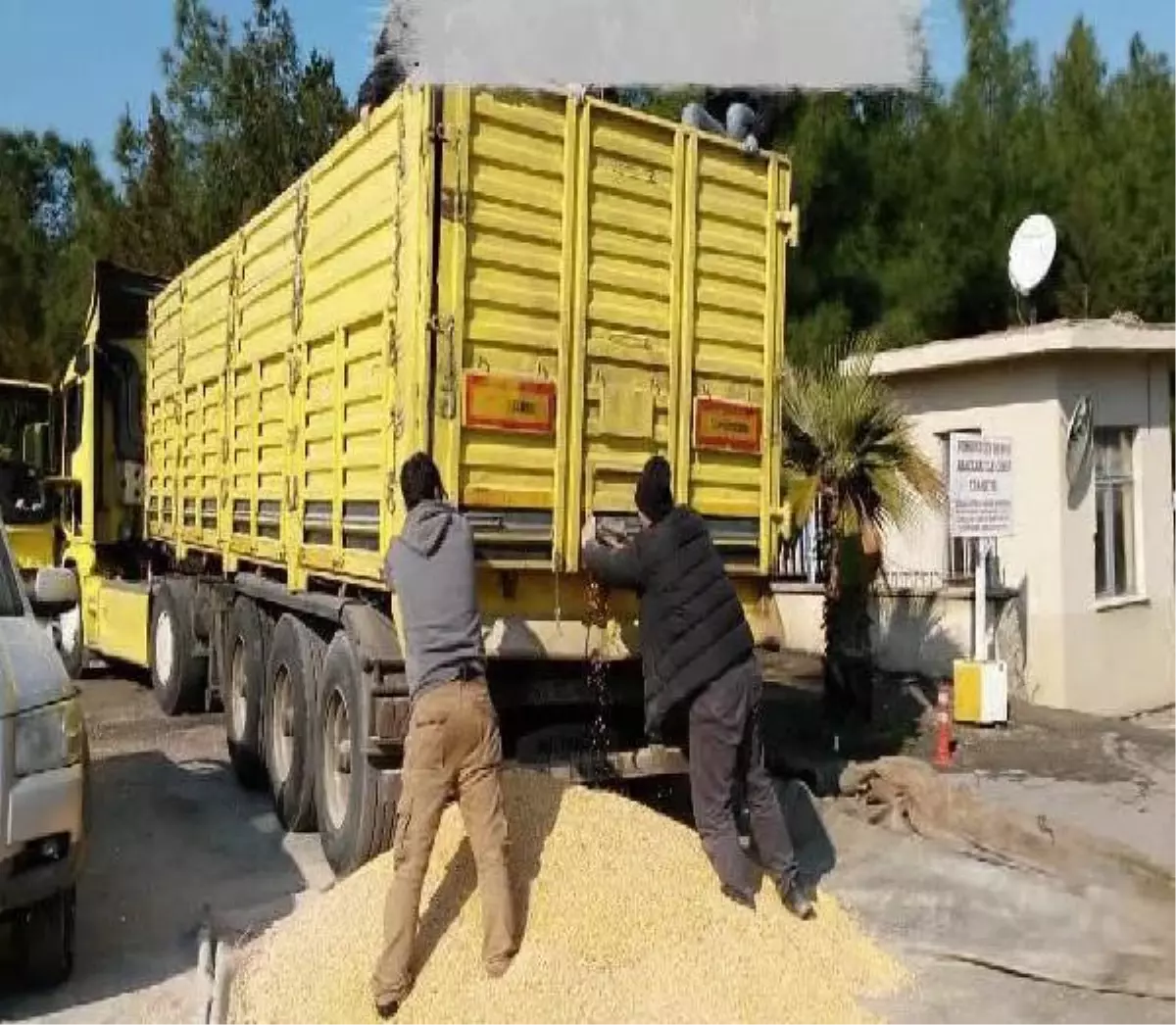 Şanlıurfa\'da Uyuşturucu Operasyonu