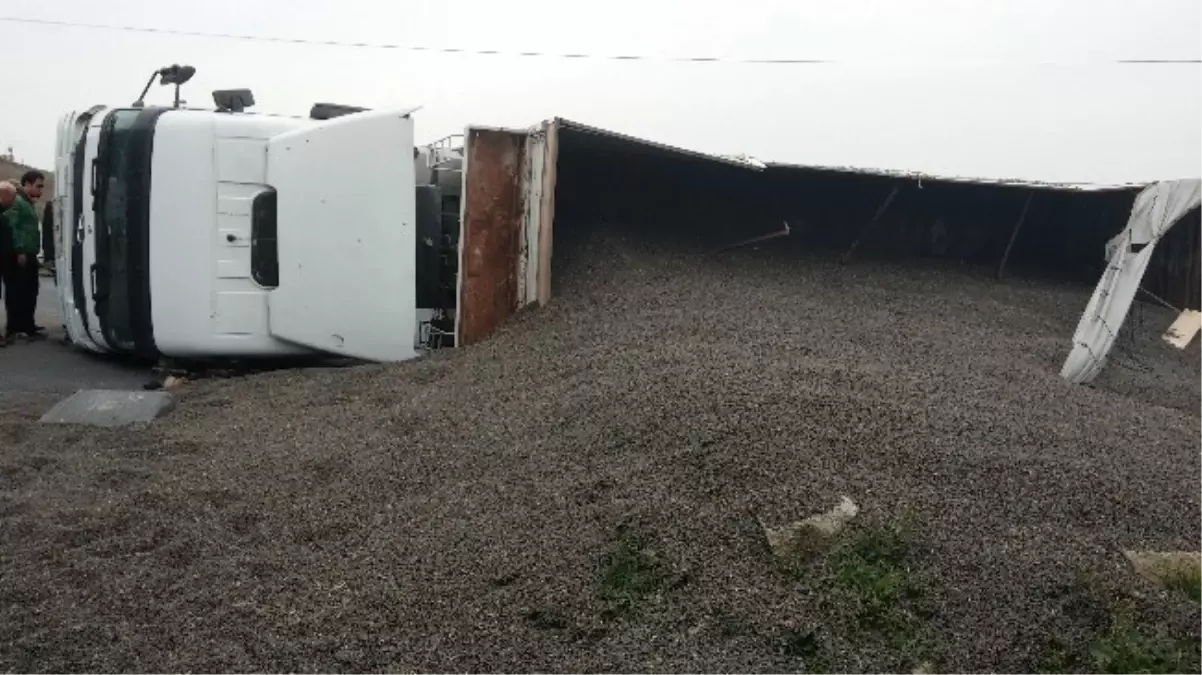 Tekirdağ\'da Ayçekirdeği Yüklü Tır Devrildi