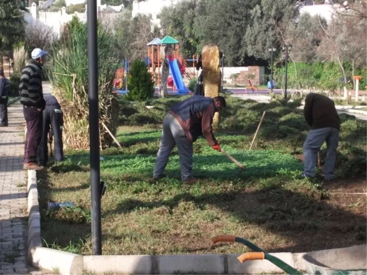 Bodrum Belediyesi Bahar Temizliğine Başladı