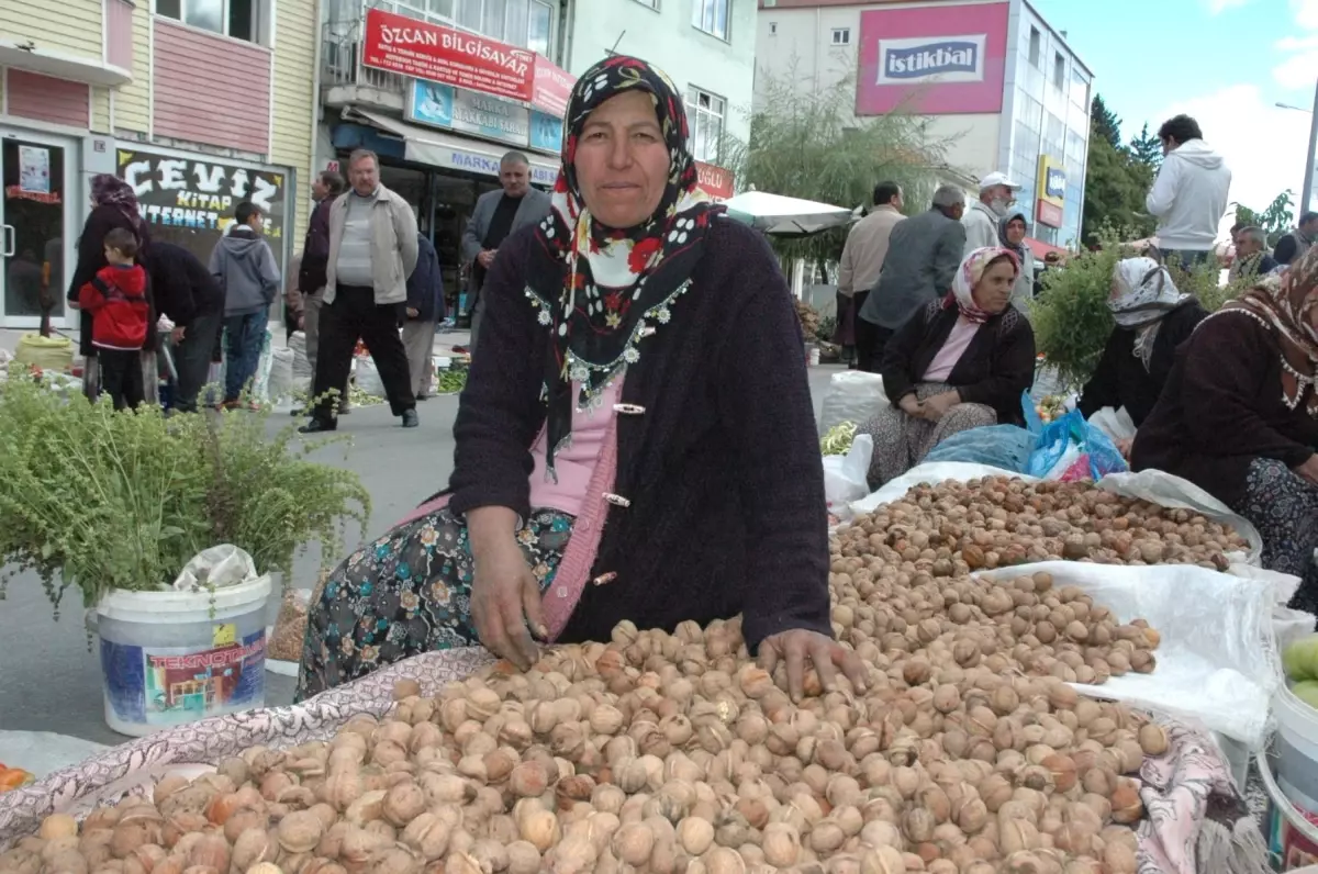 Ceviz Fidanı Talebine Yetişemiyorlar