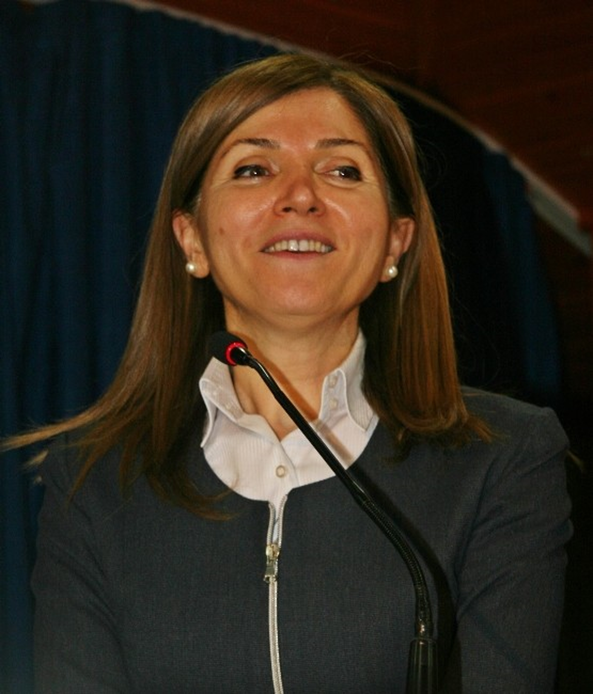 MHP Genel Başkan Yardımcısı Topçu Açıklaması