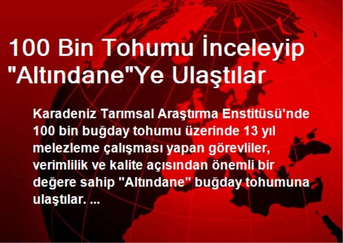 100 Bin Tohumu İnceleyip "Altındane"Ye Ulaştılar