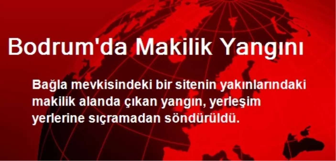 Bodrum\'da Makilik Yangını