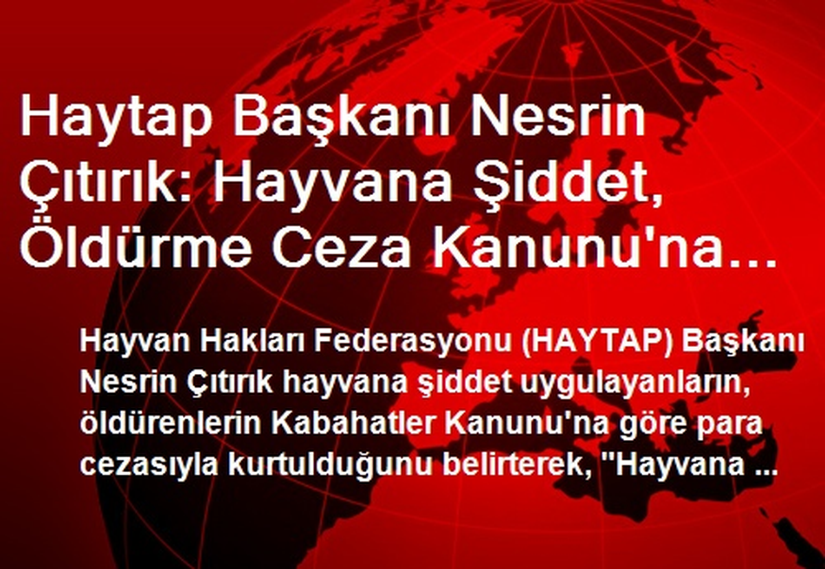 Haytap Başkanı Nesrin Çıtırık: Hayvana Şiddet, Öldürme Ceza Kanunu\'na Alınmalı