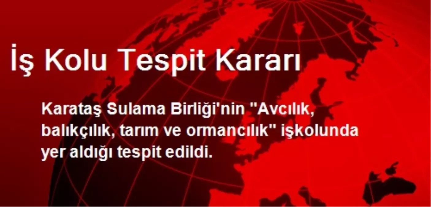 İş Kolu Tespit Kararı