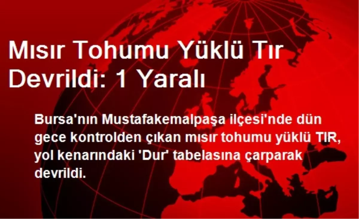 Mısır Tohumu Yüklü Tır Devrildi: 1 Yaralı