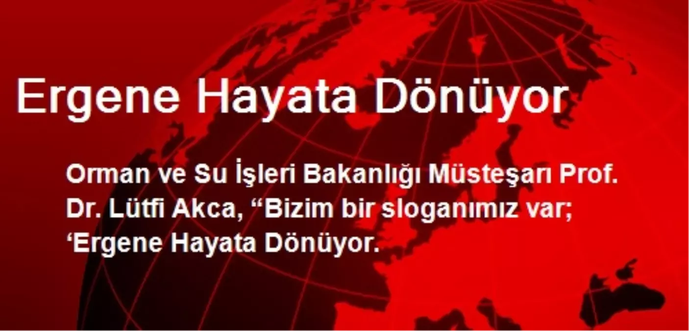 Ergene Hayata Dönüyor