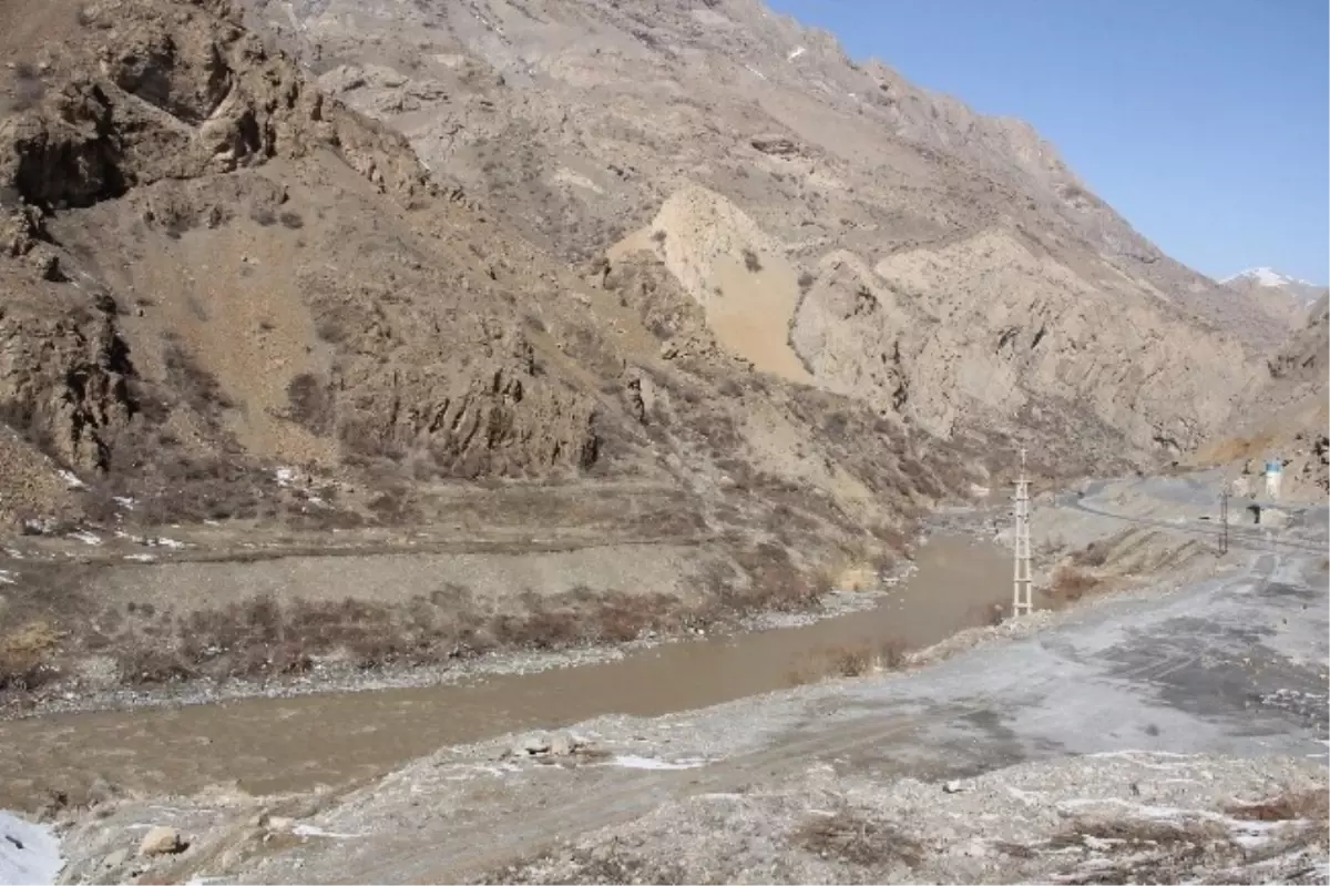 Hakkari\'de Şubat Ayında Kardelenler Çiçek Açtı