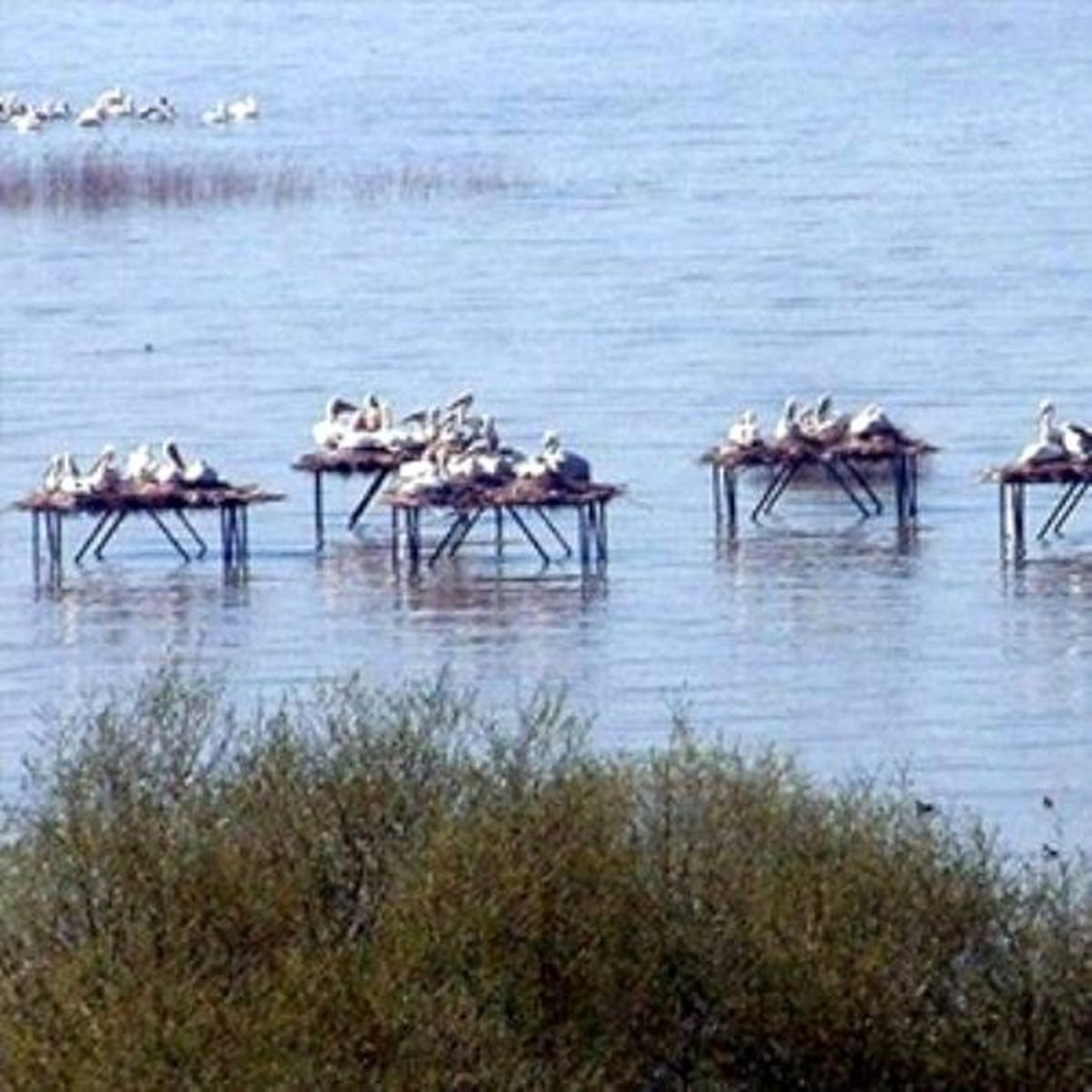 Manyas Barajı\'nda, Elektrik Üretimine Başlandı
