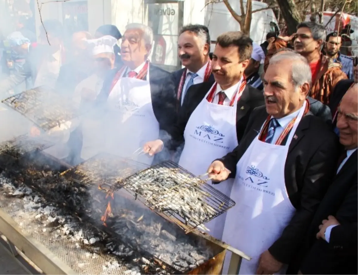 Muğla\'da Üç Ton Hamsi Dağıtıldı