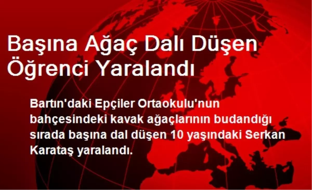 Başına Ağaç Dalı Düşen Öğrenci Yaralandı