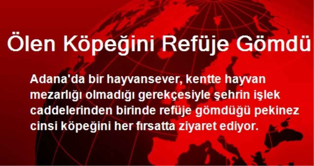 Ölen Köpeğini Refüje Gömdü