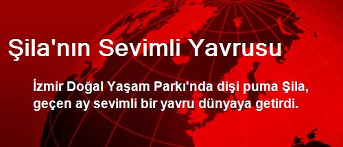 Şila'nın Sevimli Yavrusu