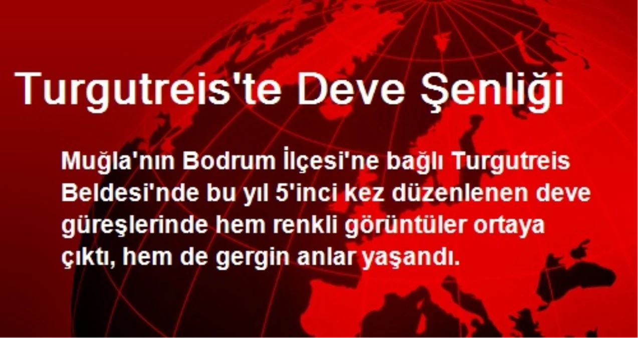 Turgutreis\'te Deve Şenliği