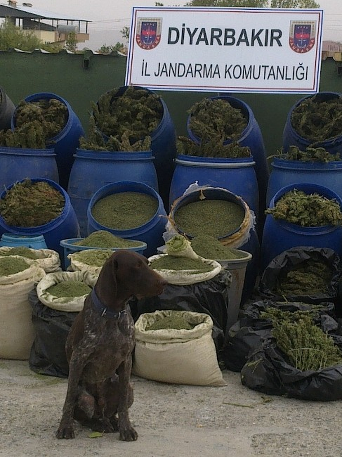 Diyarbakır\'da 902 Kilo Esrar Yakalandı