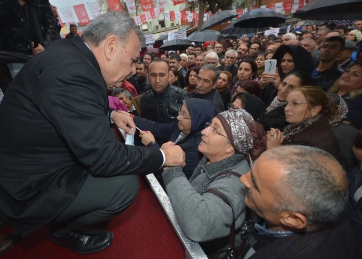 CHP Adayı Kocaoğlu\'ndan Doğal Yaşam Adası Sürprizi