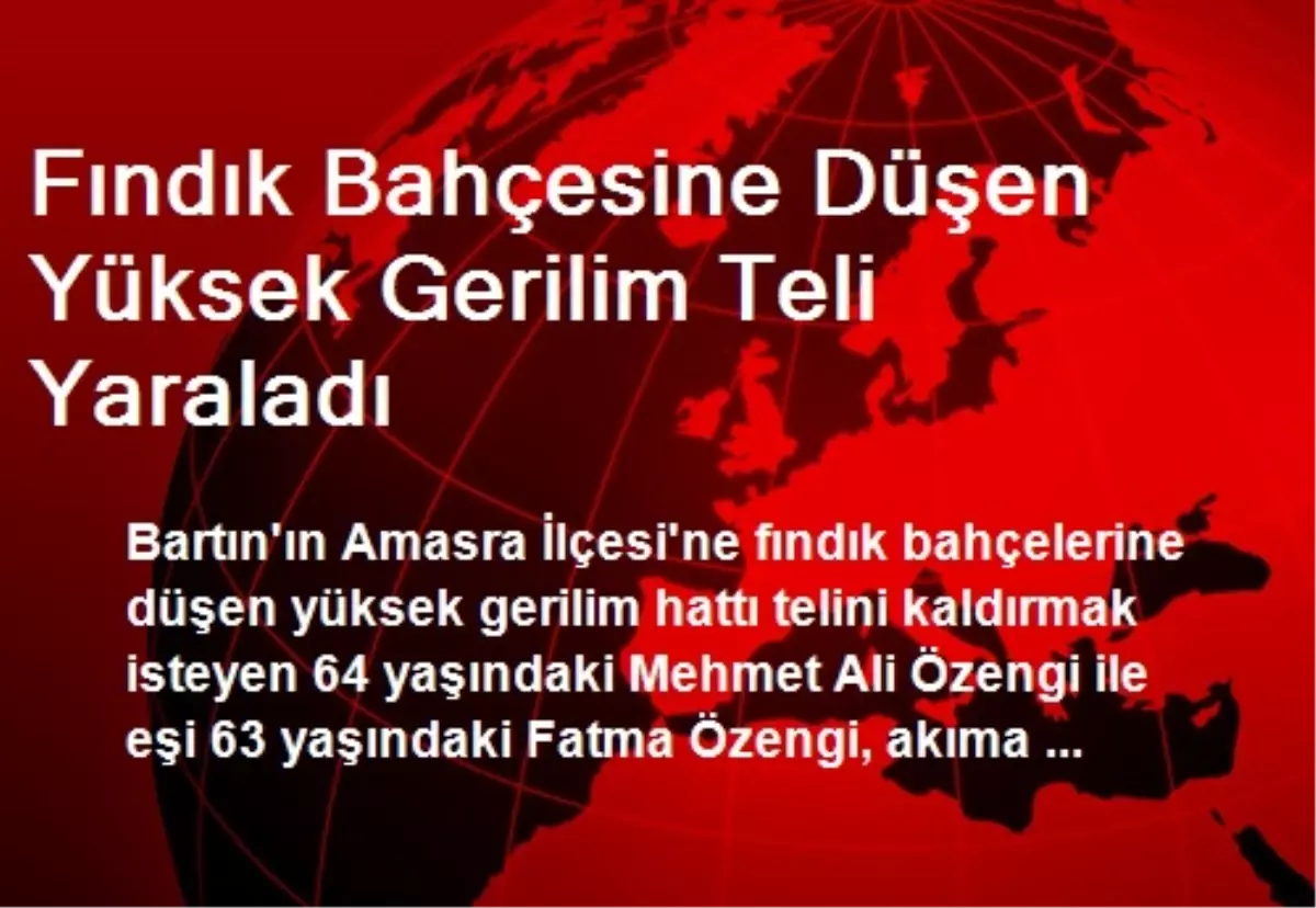 Fındık Bahçesine Düşen Yüksek Gerilim Teli Yaraladı