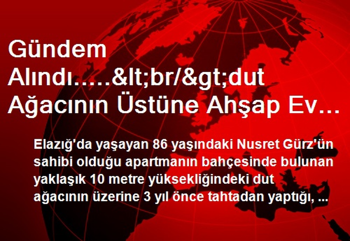 Gündem Alındı.....<br/>dut Ağacının Üstüne Ahşap Ev Yaptı