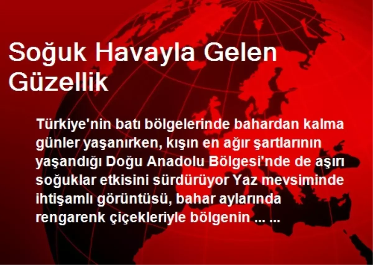 Soğuk Havayla Gelen Güzellik