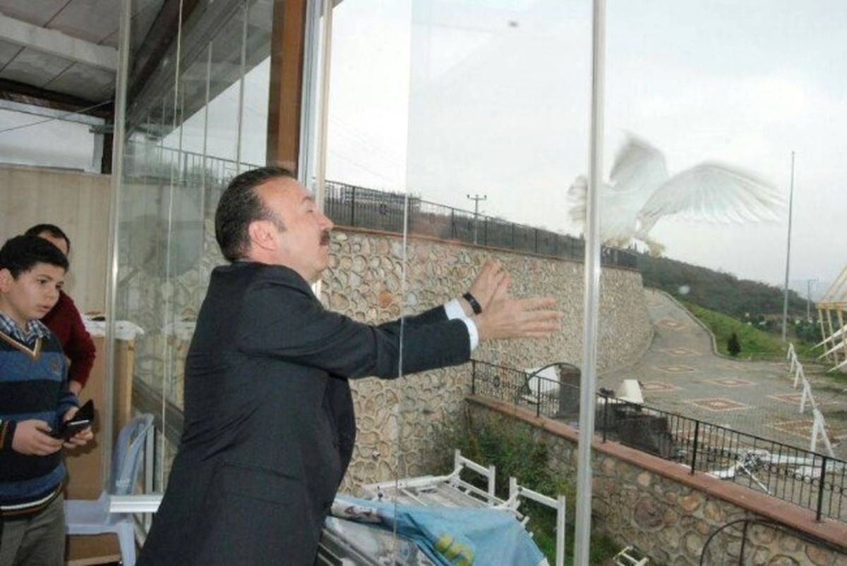 Başkan Doğan İzmit\'e Kuş Cenneti Yapacak