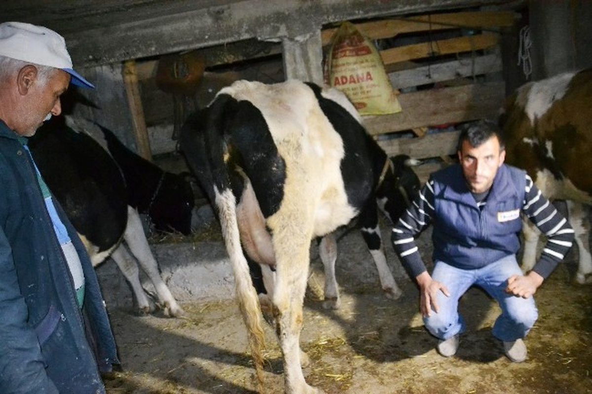 Bir Belde ve 20 Köy Karantinaya Alındı