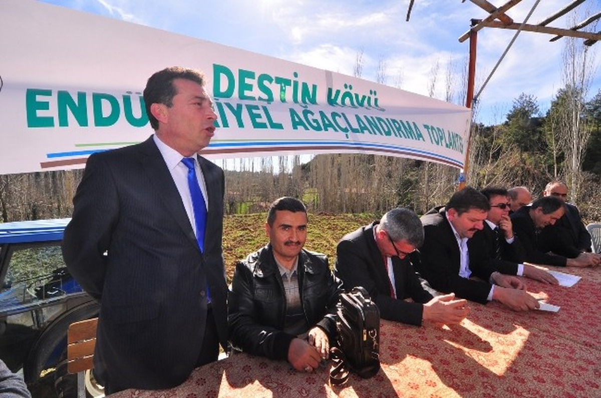 Endüstriyel Ağaçlandırmanın İlk Adımı Deştin\'de Atıldı