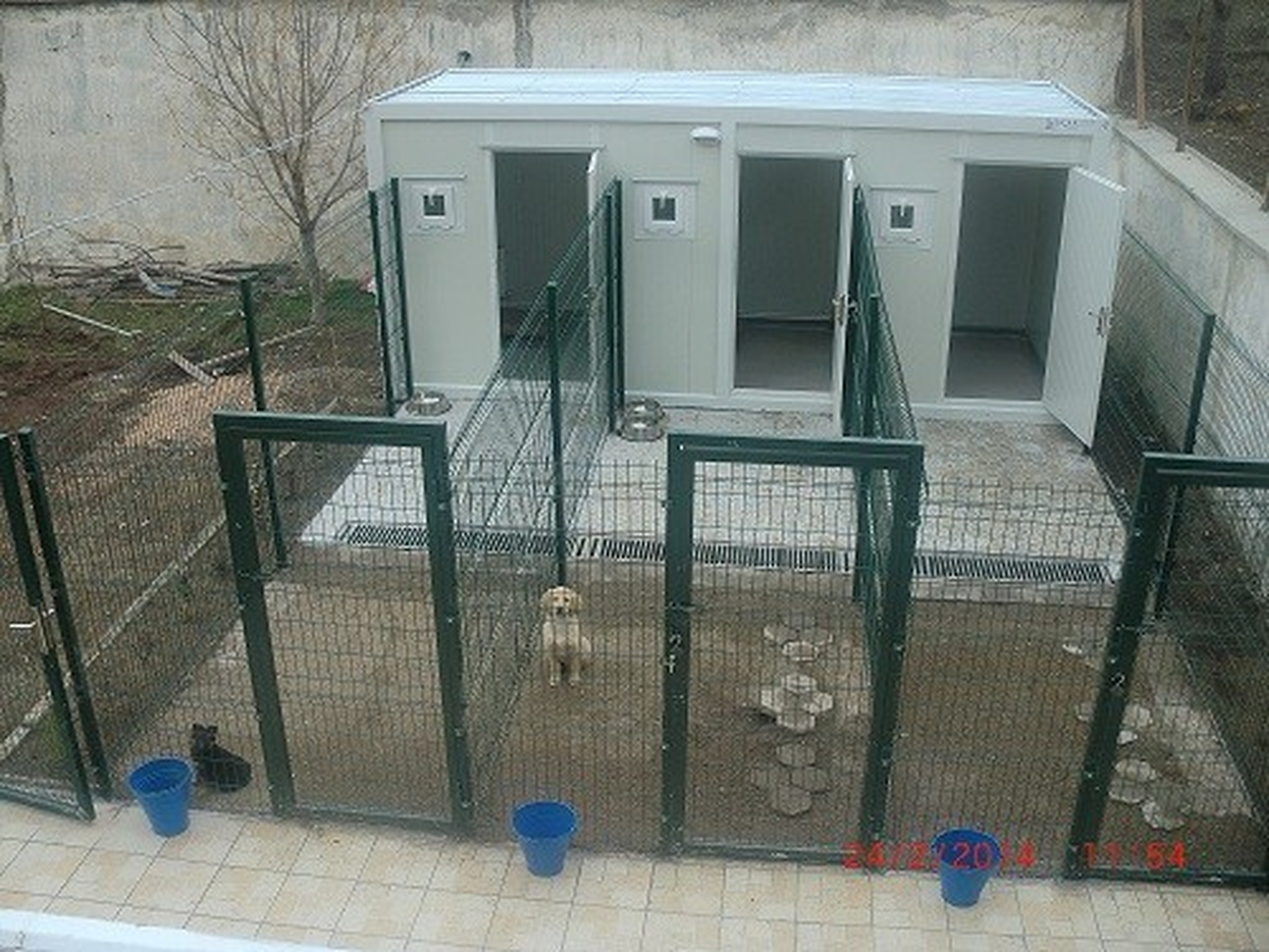Eskişehir Afad \'Köpekli Arama Timi\' Kurdu