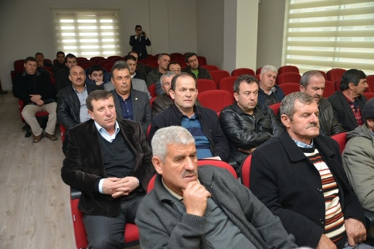 Gemlik Zeytini Koruma Altına Alınıyor